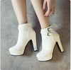 Y2K Platform Ankle Boots