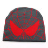 Y2K Spiderman Beanie